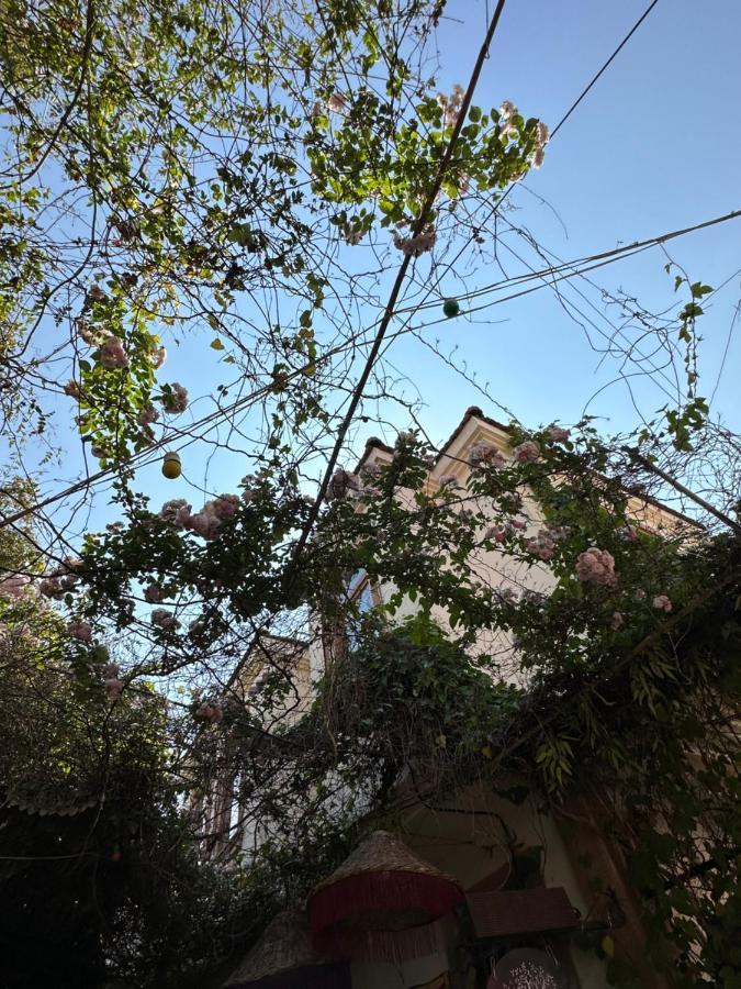 ホテル Cunda Kardias エクステリア 写真